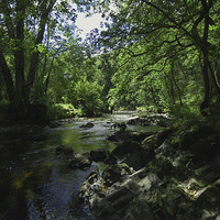 Buy canvas prints of JST3066 River Teign by Jim Tampin