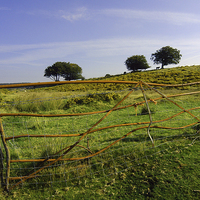 Buy canvas prints of JST3072 The Old farm gate by Jim Tampin