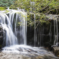 Buy canvas prints of  Waterfall by Dave Sealey