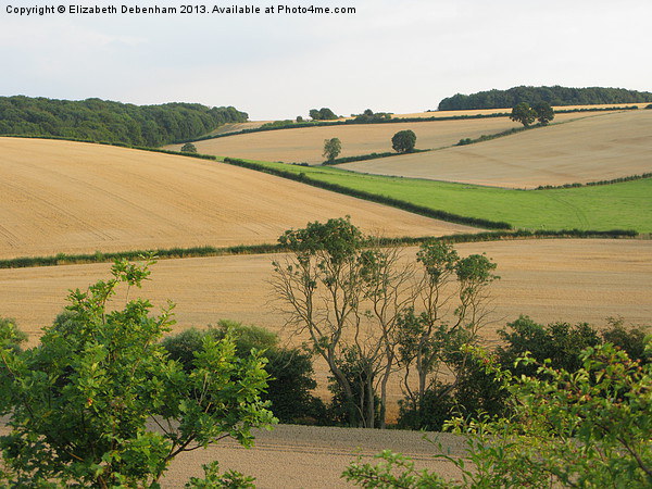 Chiltern View from A41 Bypass Picture Board by Elizabeth Debenham