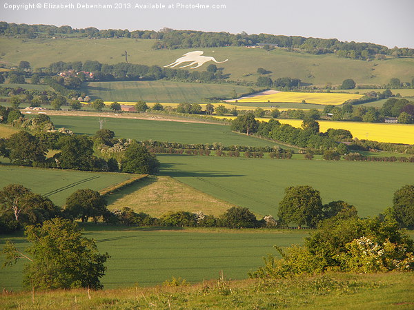 Ivinghoe View to Whipsnade Picture Board by Elizabeth Debenham