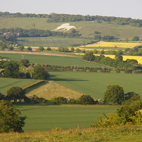 Buy canvas prints of Ivinghoe View to Whipsnade by Elizabeth Debenham