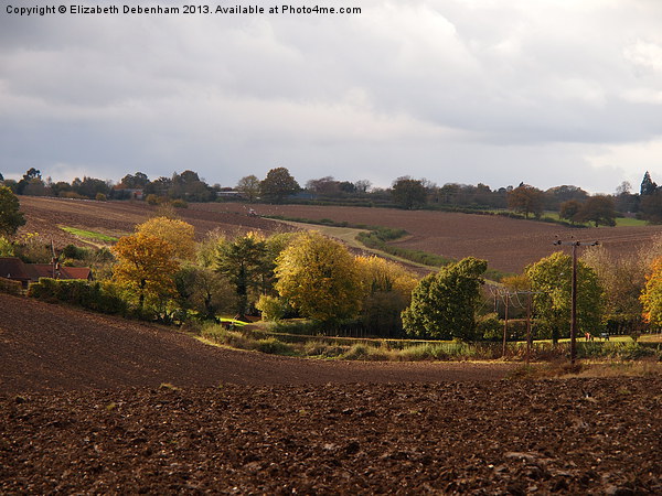 Ploughed Fields in Autumn Picture Board by Elizabeth Debenham