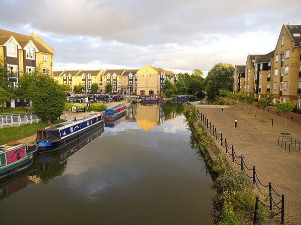 Apsley Marina on the Grand Union Canal Picture Board by Elizabeth Debenham
