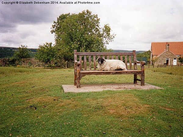 Sheep on bench in Goathland, North Yorkshire Moors Picture Board by Elizabeth Debenham