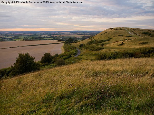 View to the Beacon from Steps Hill, Ivinghoe Picture Board by Elizabeth Debenham