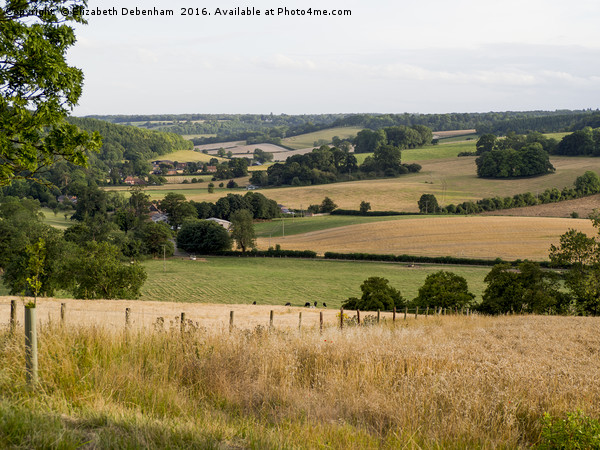 Stonor Landscape, Oxfordshire Picture Board by Elizabeth Debenham