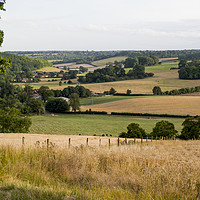 Buy canvas prints of Stonor Landscape, Oxfordshire by Elizabeth Debenham