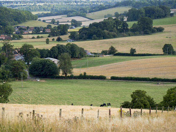 Stonor Valley, Oxfordshire Picture Board by Elizabeth Debenham