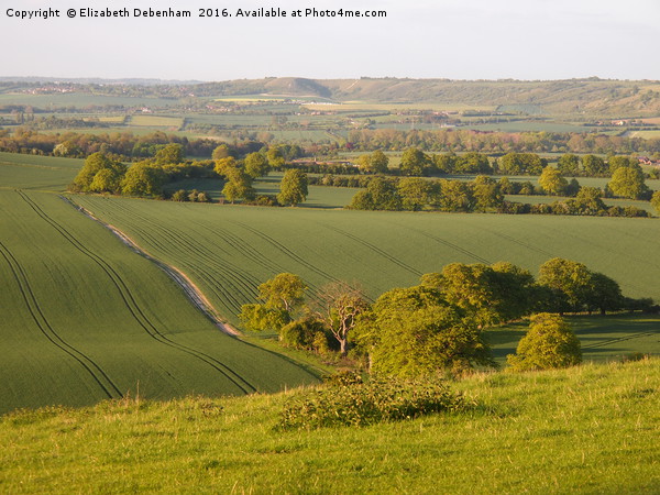 View from Ivinghoe in Spring Picture Board by Elizabeth Debenham