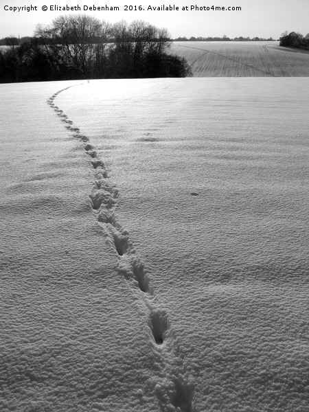 Footprints in the Snow Picture Board by Elizabeth Debenham
