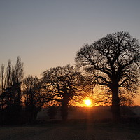 Buy canvas prints of Guardians of the Evening Sun by Elizabeth Debenham