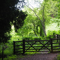 Buy canvas prints of Gate to a Wildlife Haven by Elizabeth Debenham