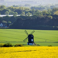 Buy canvas prints of Windmill in a field of Yellow Oilseed Rape by Elizabeth Debenham