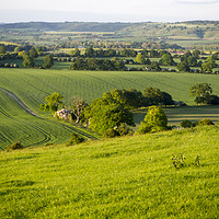 Buy canvas prints of Ivinghoe on a May Evening by Elizabeth Debenham