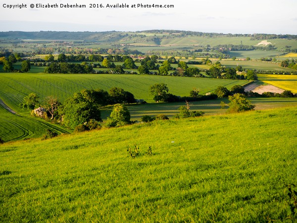 The Whipsnade Lion in Evening Sunshine Picture Board by Elizabeth Debenham