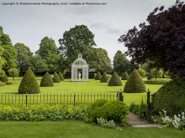 Chenies Manor gardens Parterre, Buckinghamshire. Picture Board by Elizabeth Debenham