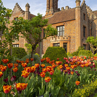 Buy canvas prints of Chenies Manor Gardens in April by Elizabeth Debenham
