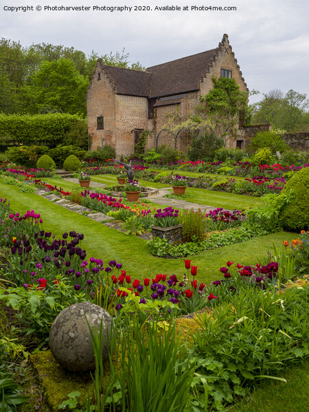 Chenies Manor Gardens in early May Picture Board by Elizabeth Debenham