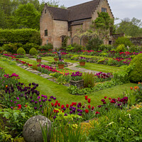 Buy canvas prints of Chenies Manor Gardens in early May by Elizabeth Debenham