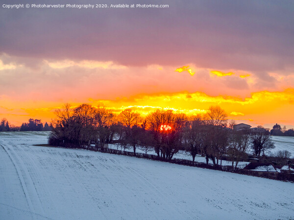 Fire and Ice; Sunset in the snow. Picture Board by Elizabeth Debenham