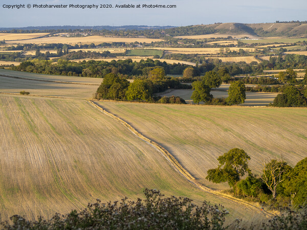 View from Ivinghoe towards Whipsnade. Picture Board by Elizabeth Debenham