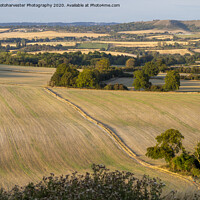 Buy canvas prints of View from Ivinghoe towards Whipsnade. by Elizabeth Debenham