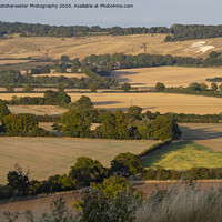 Buy canvas prints of Ivinghoe view towards The Lion at Whipsnade in the by Elizabeth Debenham