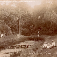Buy canvas prints of Ayscoughfee Hall Gardens ; a Vintage Postcard by Elizabeth Debenham