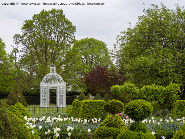Victorian Gazebo at Chenies Manor Gardens. Picture Board by Elizabeth Debenham