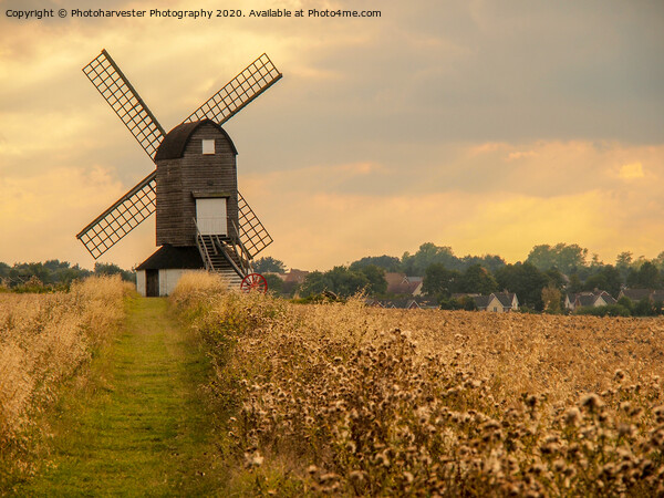 Pitstone Windmill Picture Board by Elizabeth Debenham