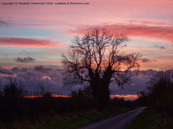 Pink and grey sunset in Lincolnshire Picture Board by Elizabeth Debenham