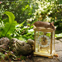 Buy canvas prints of Wild woodmouse on a Clock. by Elizabeth Debenham
