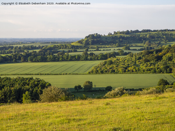 View from Watlington Hill in June Picture Board by Elizabeth Debenham