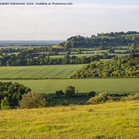 Buy canvas prints of View from Watlington Hill in June by Elizabeth Debenham
