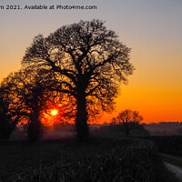 Buy canvas prints of Winter Sunset through Oak Trees by Elizabeth Debenham