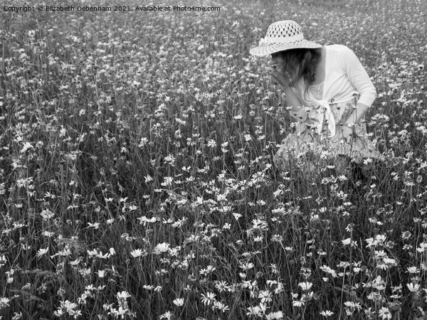 Young woman in a straw hat among daisies Picture Board by Elizabeth Debenham