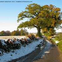 Buy canvas prints of Two Oak Trees in Autumn Snow. by Elizabeth Debenham
