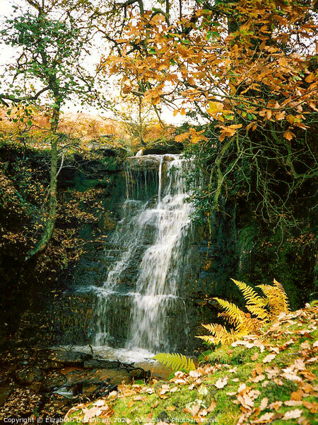 Waterfall at Tom Keld's Hole, Goathland Picture Board by Elizabeth Debenham