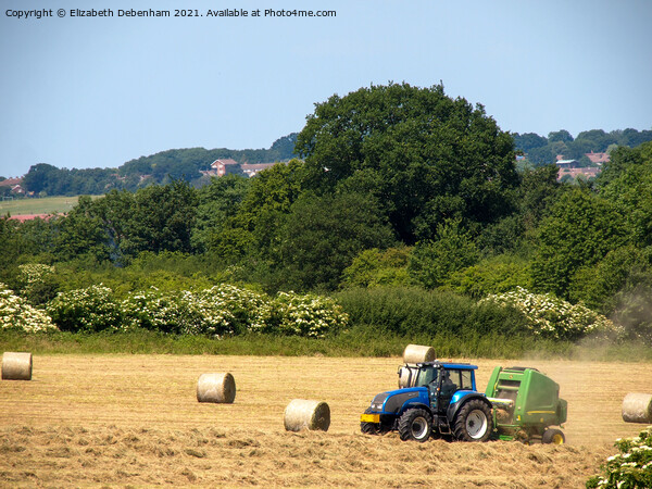 Tractor and Baler in Early Summer Picture Board by Elizabeth Debenham