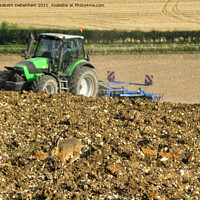 Buy canvas prints of Hare racing a Tractor up a Hill by Elizabeth Debenham