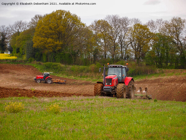 Two Tractors, ploughing and tilling the land Picture Board by Elizabeth Debenham