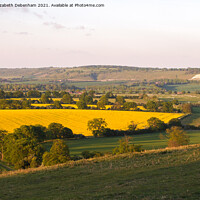 Buy canvas prints of Ivinghoe to Whipsnade Lion by Elizabeth Debenham