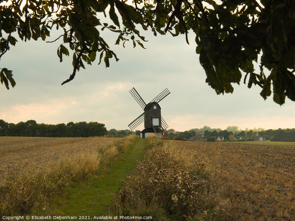 Pitstone Windmill through the tree Picture Board by Elizabeth Debenham
