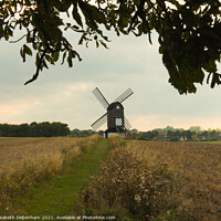 Buy canvas prints of Pitstone Windmill through the tree by Elizabeth Debenham