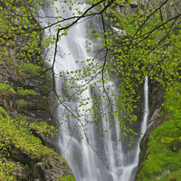 Buy canvas prints of Pistyll Rhaeadr Waterfalls Welshpool Powys Wales by Chris Warren