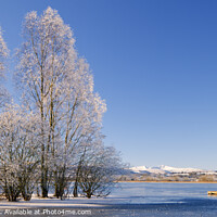 Buy canvas prints of Winters day at Llangorse Lake  by Chris Warren