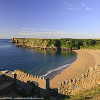 Buy canvas prints of The golden sands of Barafundle Bay Pembrokeshire by Chris Warren