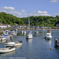Buy canvas prints of The pretty harbour of Lower Town Fishguard by Chris Warren