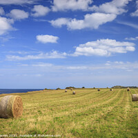 Buy canvas prints of Hay bales field Weybourne Norfolk by Chris Warren